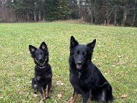 Qiu und Gitan